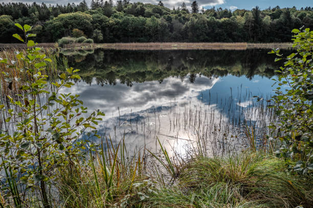 istock Small Danish lake Rorbaek with green sourroundings in Denmark 2177379793