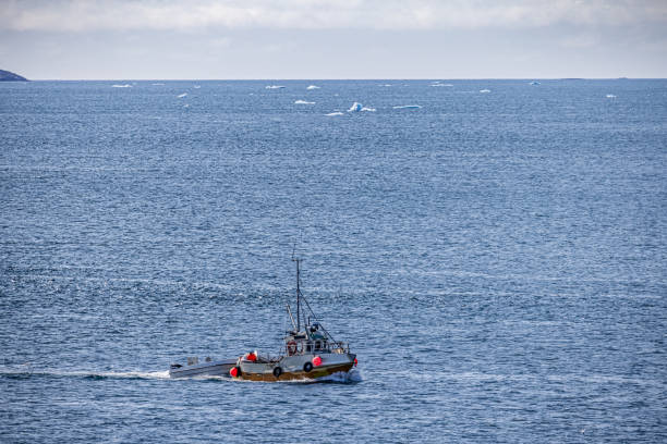 Nuuk, Godthåb, Greenland, Denmark - August 19th 2024: Small fishing boat on the fjord in a country where fishing and hunting are the traditional ways of surviving