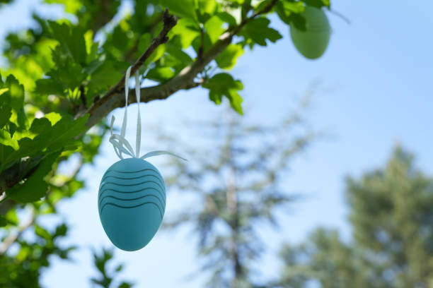 Traditional Easter tree with color decorative eggs outdoor. Happy easter! Side view, space for text.