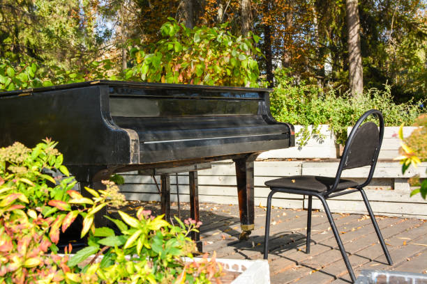 istock Old wooden piano in the park 2177392992