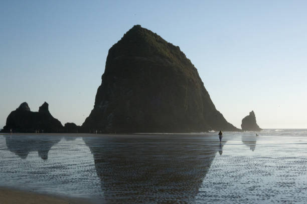 istock Young woman explores empty beach at sunrise, distant view 2177395284