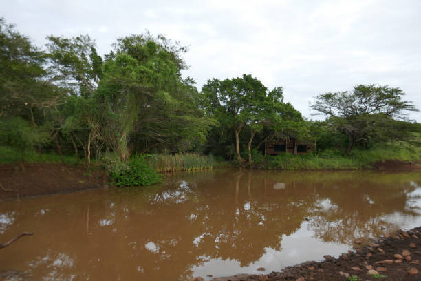 istock Manyoni Game Reserve, South Africa, Part 2 2177396181