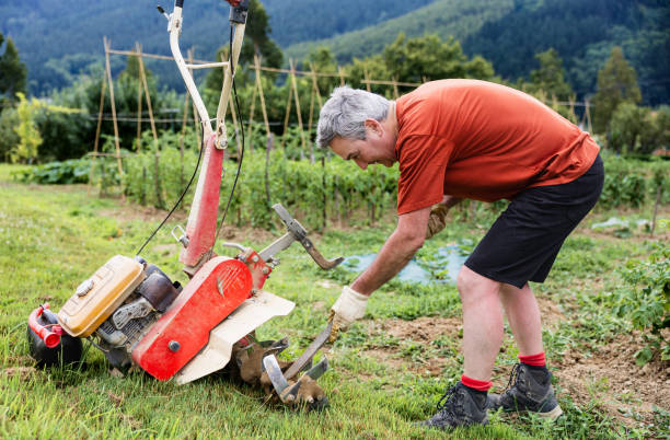 istock Man cleaning garden tractor in vegetable farm 2177396202