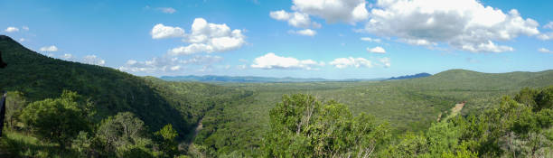 Manyoni Game Reserve is a protected area in the north eastern part of Kwa Zulu Natal,  South Africa
