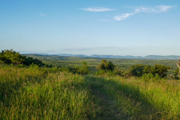 istock Manyoni Game Reserve, South Africa, Part 2 2177396385