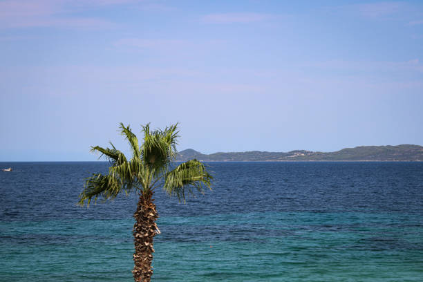 istock Bright Summer Day by the Sea with Palm Tree and Distant Islands. Clear Sky during Noon Daylight on Halkidiki,  Greece. 2177399970