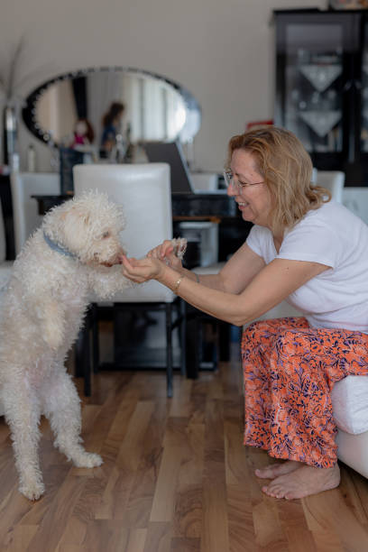 istock Woman playing with her dog 2177400676