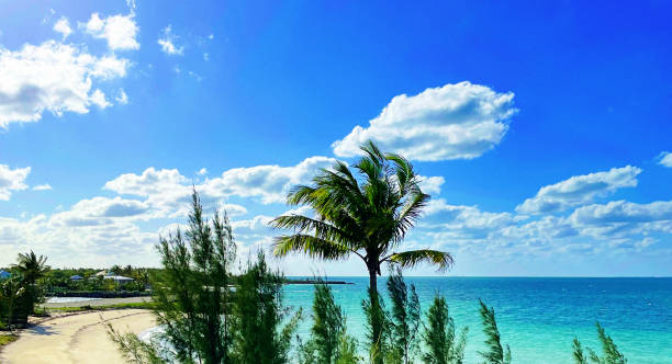 Beautiful beach in Miches, Dominican Republic