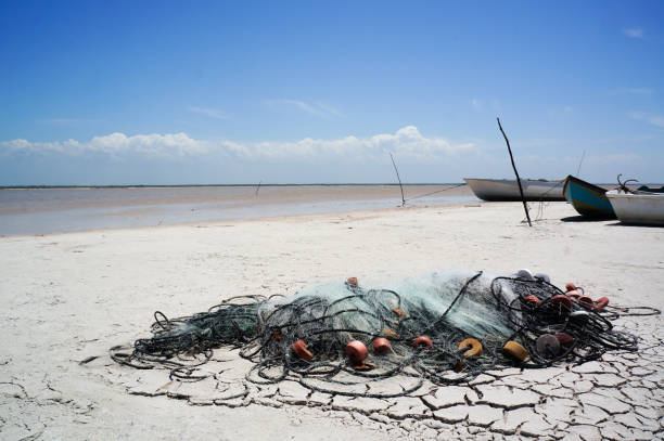 istock A grid of nylon fishnets lies abandoned on the beach. 2177410281