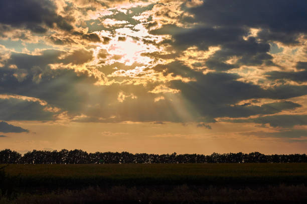 istock Silhouettes line trees on the horizon along the field at sunset 2177412864