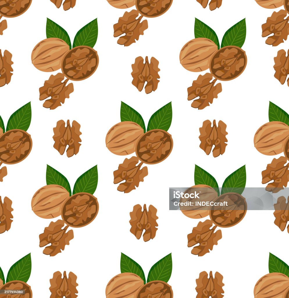 Walnut Pattern Repeat Walnut Seamless Pattern Stock Illustration - Download Image Now ...