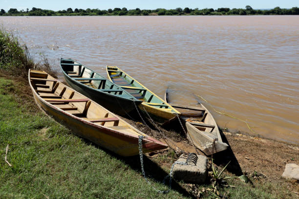 carinhanha, bahia, brazil - april 13, 2024: Fisherman's canoes are seen stuck on the banks of the Sao Francisco River in the city of Carinhanha.