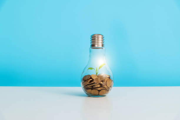 istock Light bulb with small plant on coins 2177417224