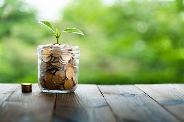 istock Young plant growing from coin jar 2177417953