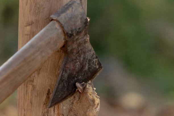 istock hatchet being used to build barn 2177418694