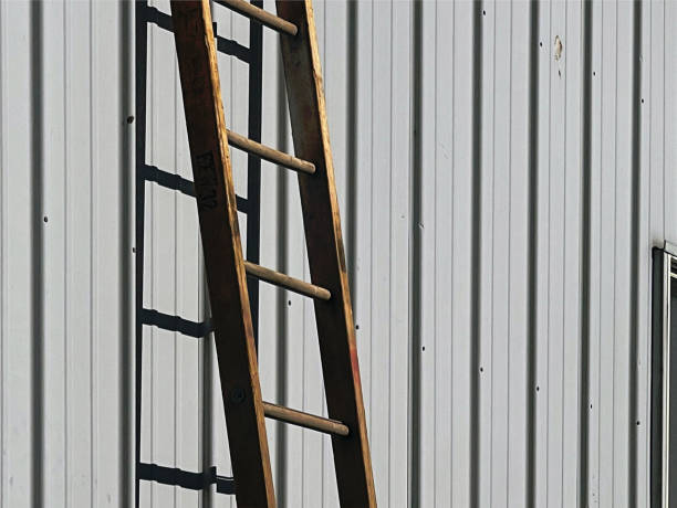 close up of a portion of a ladder leaning against the corrugated metal exterior wall of a storage shed, Long Island, New York