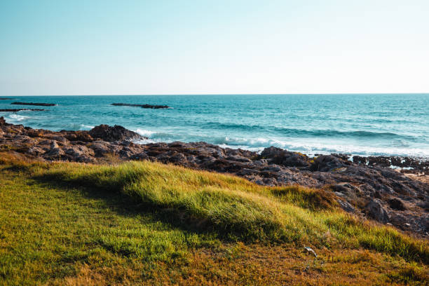 The coast of Venus beach, Paphos, Cyprus. Beautiful shore with rocks.