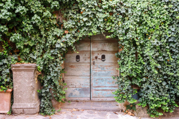 istock Old wooden door 2177430752