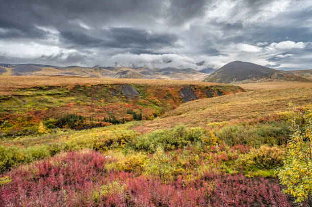 Autumn view of clouds surrounding the Richardson Mountains in the Northwest Territories Canada