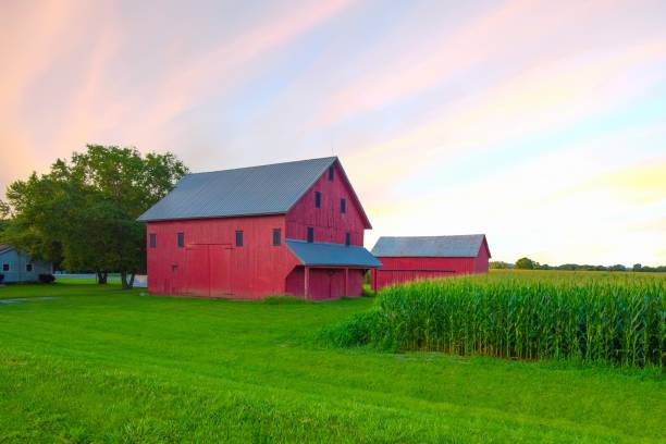 istock Red Barn at sunrise with corn field-Hamilton County, Indiana 2177434525