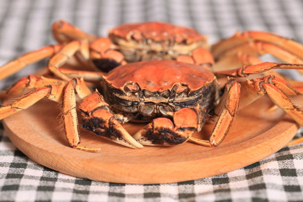 istock Hairy crab, Chinese delicacy 2177434995