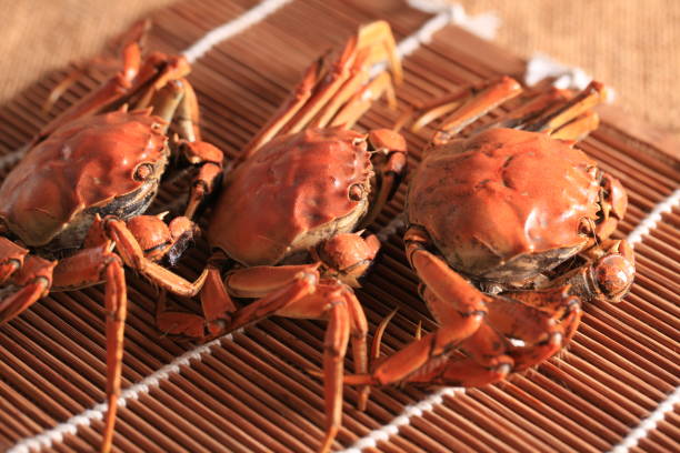 istock Hairy crab, Chinese delicacy 2177435041