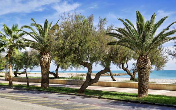 istock Promenade in Moncofa on the Mediterranean Sea 2177438917