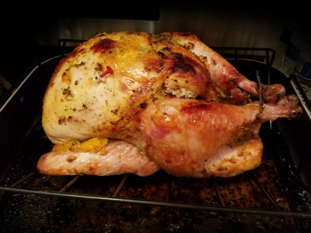 istock Golden-Brown Roasted Thanksgiving Turkey 2177439086