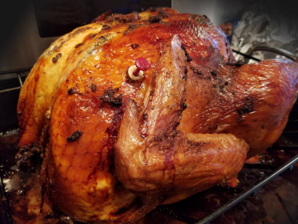 istock Golden-Brown Roasted Thanksgiving Turkey 2177439102
