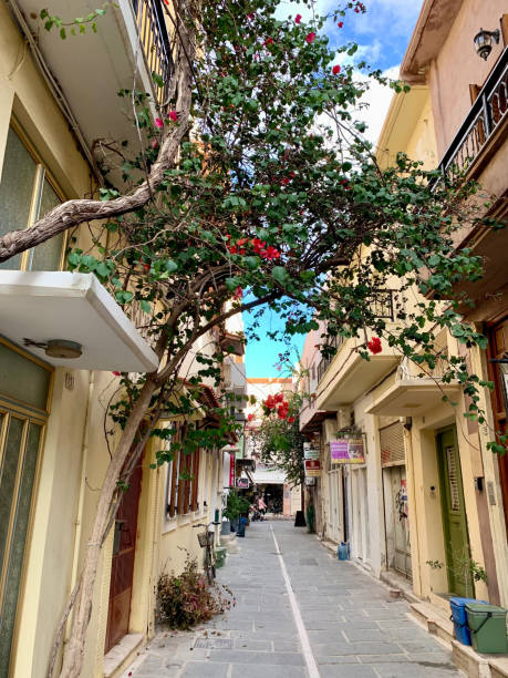 istock Charming Narrow Alley with Flowering Tree in Mediterranean Town 2177440582