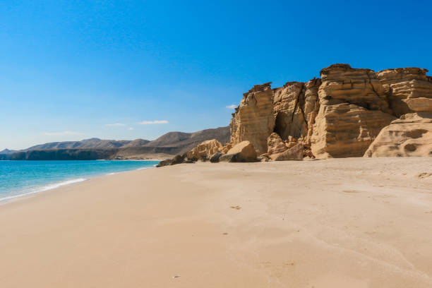 istock Explore the serene turtle beach in Oman with golden sands and stunning rock formations under a clear blue sky 2177440870