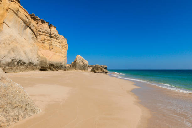 istock Explore the stunning turtle beach in Oman featuring golden sand rocky cliffs and a serene turquoise sea under a clear blue sky 2177440909