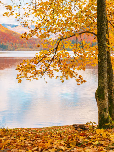 istock mountain landscape with lake in autumn 2177442267