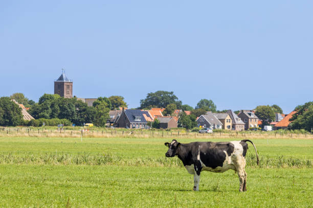 istock Texel landscape near Oosterend The Netherlands 2177445668
