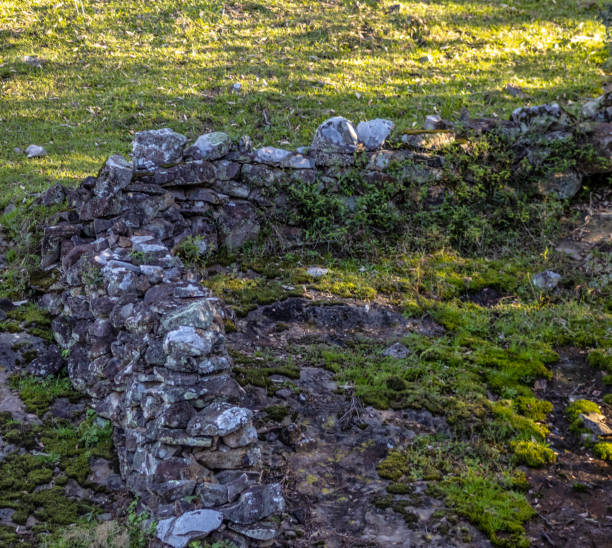 istock ancient fence made of stone 2177447042