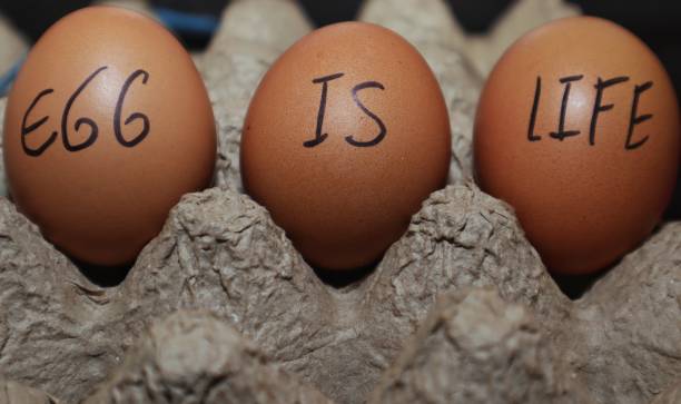 istock Three brown eggs in a carton, with the words 