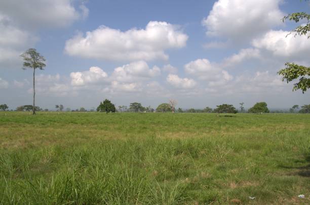 istock Plains and mountains in the Tachira State. 2177449832