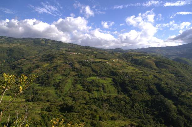istock The mountains of the Tachira State. 2177449905