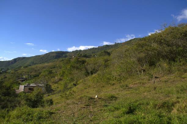 istock The mountains of the Tachira State. 2177449931