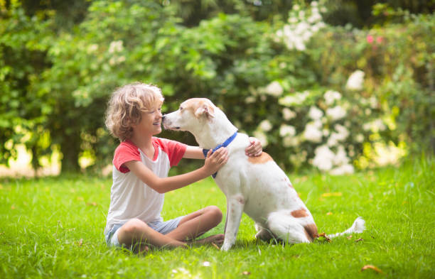 istock Child playing with a dog in sunny summer garden 2177449982