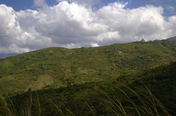 Tachira is part of the Andean states, therefore we find many mountains.