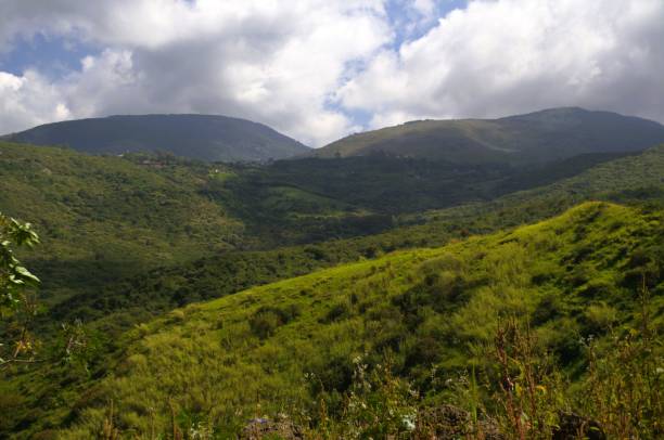istock The mountains of the Tachira State. 2177450035