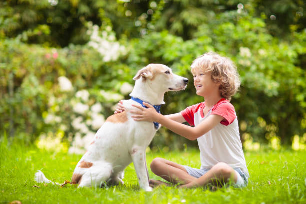istock Child playing with a dog in sunny summer garden 2177450122