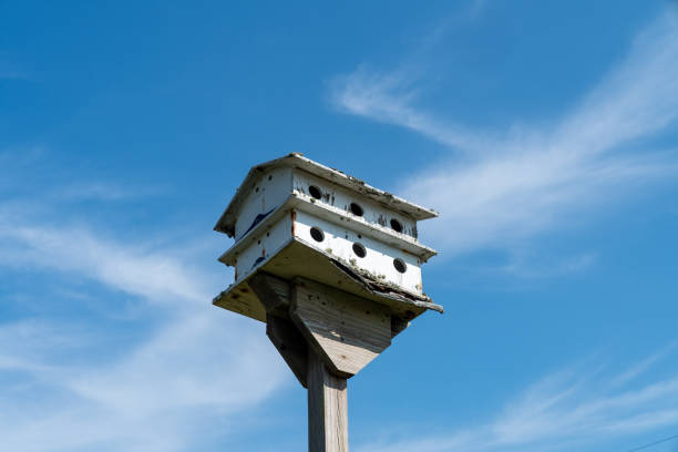 Old birdhouse against a bright blue sky