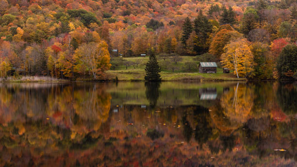 istock Rich Spectrum of Fall Foliage, New England 2177457389