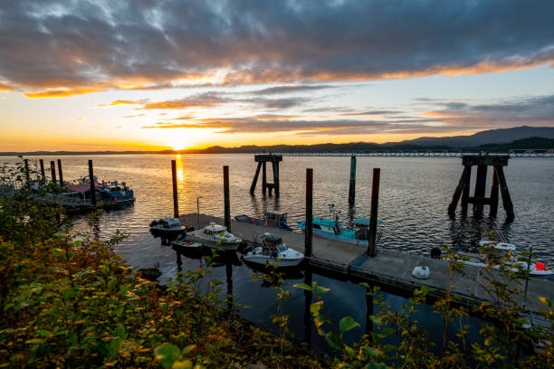 Fishing boats are docked at a harbor in tofino, a small district on vancouver island in british columbia, canada, on a partly cloudy summer day with lush green trees and mountains in the background