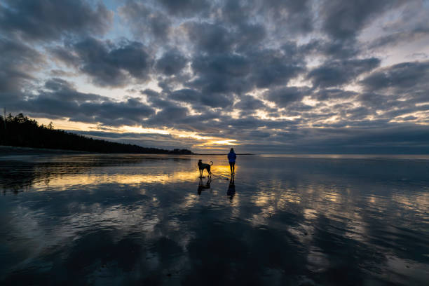 Woman walks dog on beach at sunset