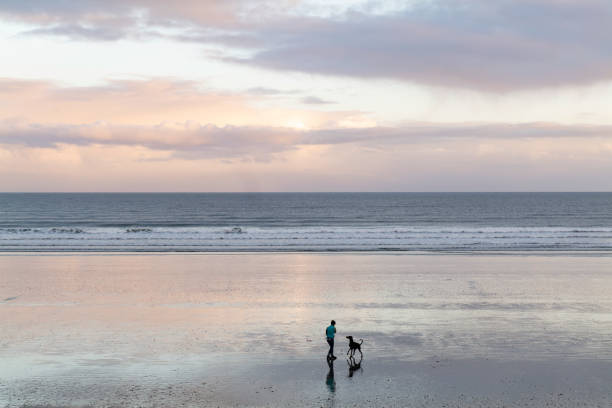 Woman walks dog on beach at sunset