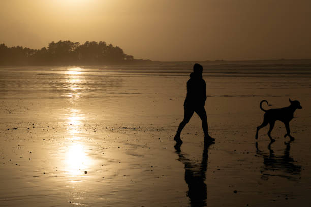 istock Woman walks dog on beach at sunset 2177458714