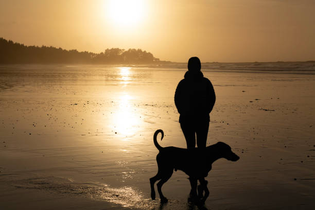 istock Woman walks dog on beach at sunset 2177459216